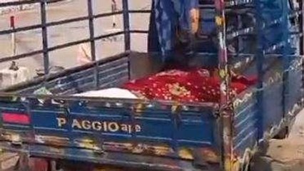 टीकमगढ़: नव विवाहित महिला ने खाया जहर, अस्पताल में इलाज के दौरान मौत