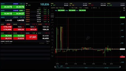 Haftaya yükselişle başlayan altının gramı 1.783 lira seviyesinden işlem görüyor