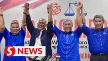 Kemaman by-election: Former Armed Forces chief named as BN candidate