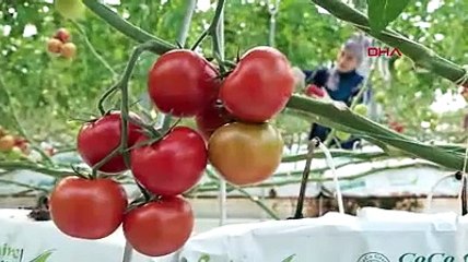 Prof. Dr. Ahmet Ercan'dan şaşırtan deprem açıklaması: ''Nimettir!''