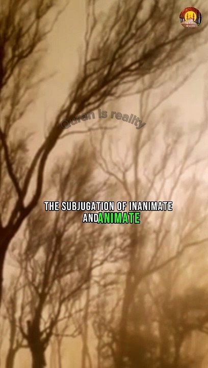 Quran surah Saba (34) verse 12