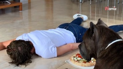 Elle s'étouffe avec une pizza : la réaction de son Cane Corso est bluffante (Vidéo)