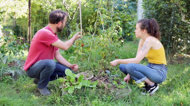 Assises de la bioéconomie en BFC - Jour 2 - T3. Les futurs possibles