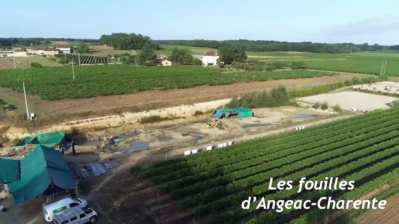 Montage séquence Dinosaure