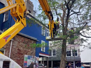 Christmas light spat in Totnes
