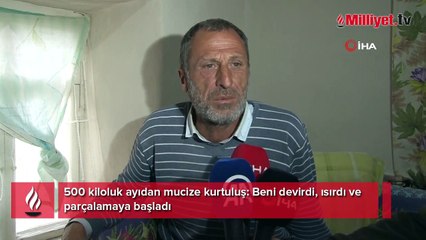 500 kiloluk ayıdan mucize kurtuluş: Beni devirdi, ısırdı ve parçalamaya başladı