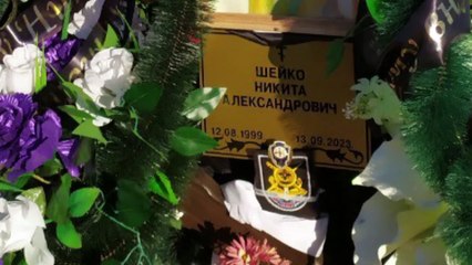 Сводка. 13 ноября. ОПЕРАЦИЯ ВСУ НА ЛЕВОМ БЕРЕГУ ДНЕПРА