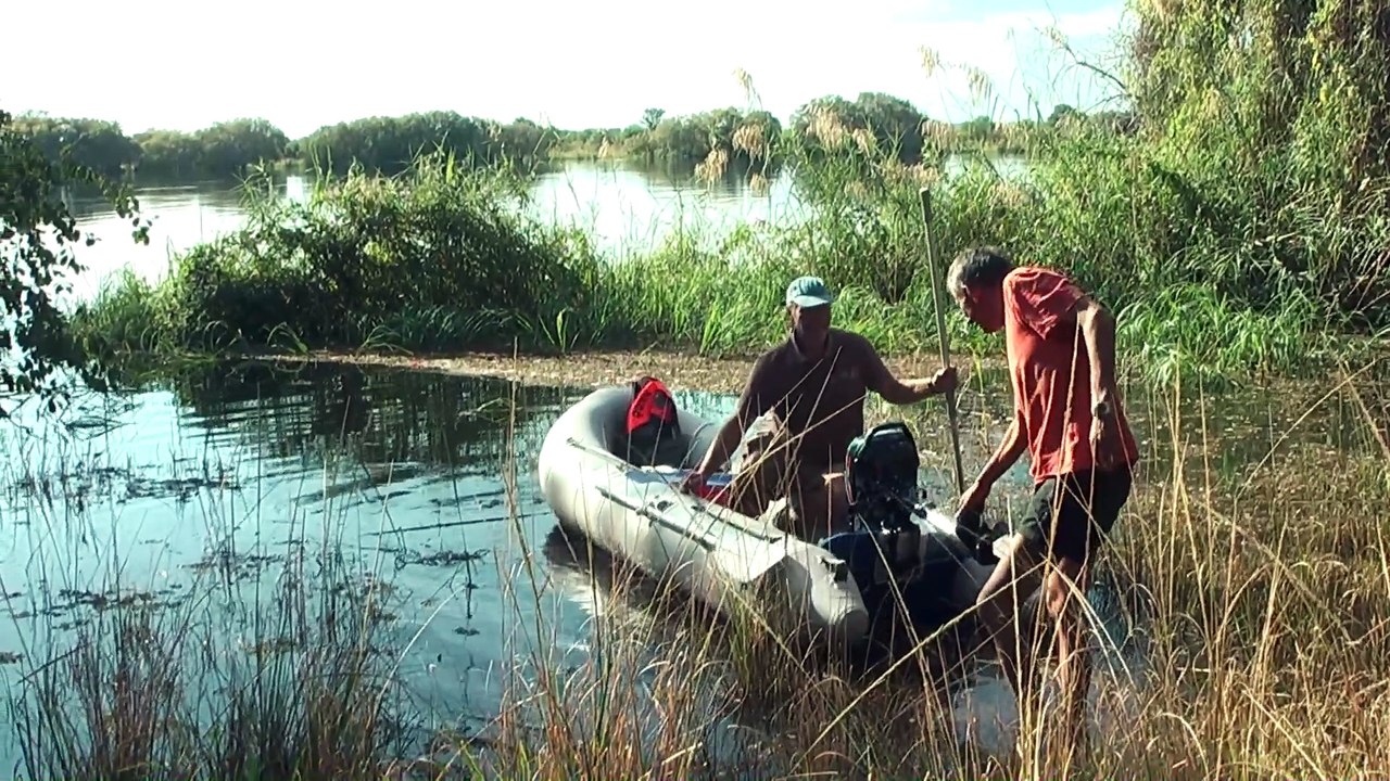 Kasane boat trip in river