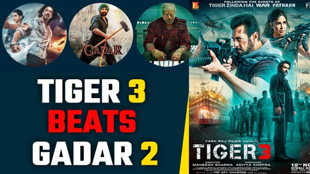 Tiger 3 box office collection day 1: Salman's film beats Gadar 2 but fails to beat Jawan and Pathaan
