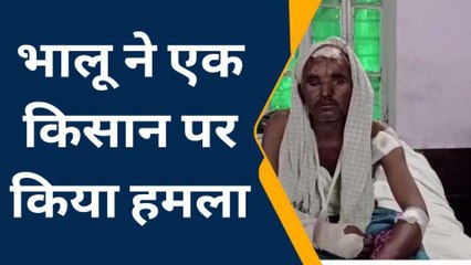 सवाई माधोपुर: भालू ने एक किसान पर बोला हमला, देखें फिर जो हुआ...