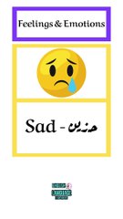 Feelings and Emotion - Adjectives