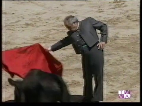 TARDE DE TOROS-SANTIAGO LUGUILLANO Y AGUSTIN CASTELLANOS EL PURI -MATAPOZUELOS-5 07 98