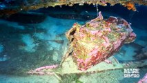 La Regione siciliana presenta 26 itinerari subacquei, fuori lo Stretto di Messina