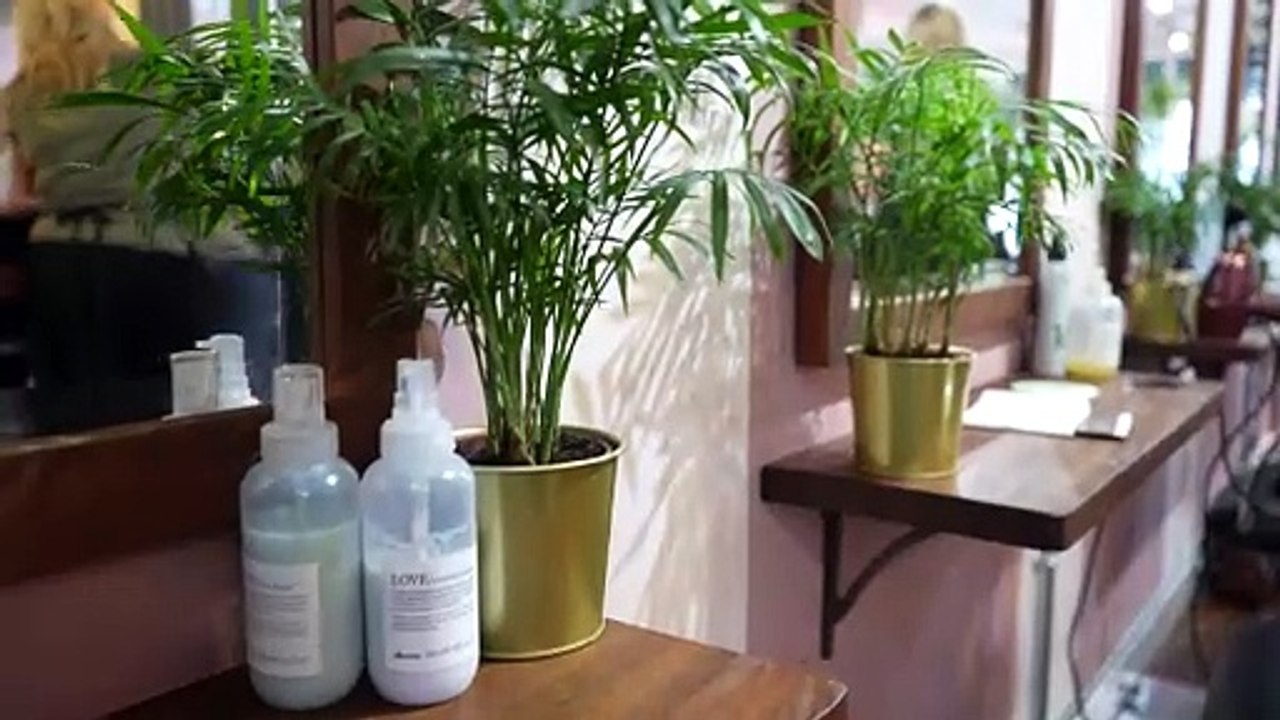 WATCH: Stylist of the year 2023 winner Sarah Bernat from Emma O'Malley Hair and Beauty, West Street, Midhurst