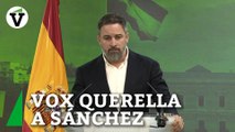 Vox se querellará mañana contra Sánchez por la ley de amnistía