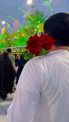 Zahoor ka waqt agaya ha||Status||Karbala||Mir Hasan Mir