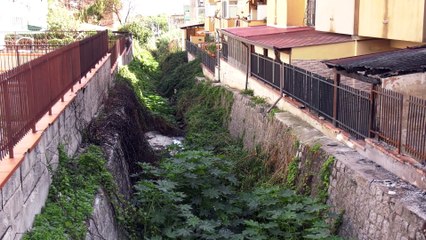 Incendi di luglio, famiglia ancora senza casa a Borgo Nuovo