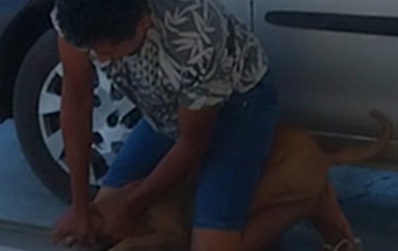 É revoltante! , diz presidente de ONG após homem tentar matar cachorra por estrangulamento, em Sousa