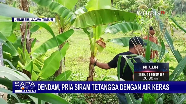 Diduga Karena Dendam, Pria Siram Air Keras ke Tetangga yang Pernah jadi Selingkuhan Istri!