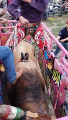 jaripeo extremo al 100%