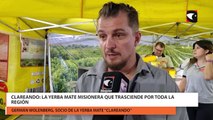 Clareando la yerba mate misionera que trasciende por toda la región