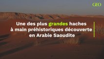 Une des plus grandes haches à main préhistoriques découverte en Arabie Saoudite