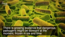 Global Warming May Lead to Prehistoric Pathogens Thawing and Infecting Modern Humans, Warn Experts