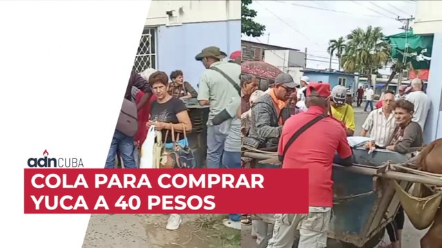 Cola para comprar yuca a 40 pesos