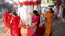 Women prayed for the long life of their husbands by worshiping Peepal tree.