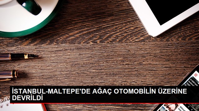 Maltepe'de Yağış ve Rüzgar Sonucu Ağaç Otomobilin Üzerine Devrildi