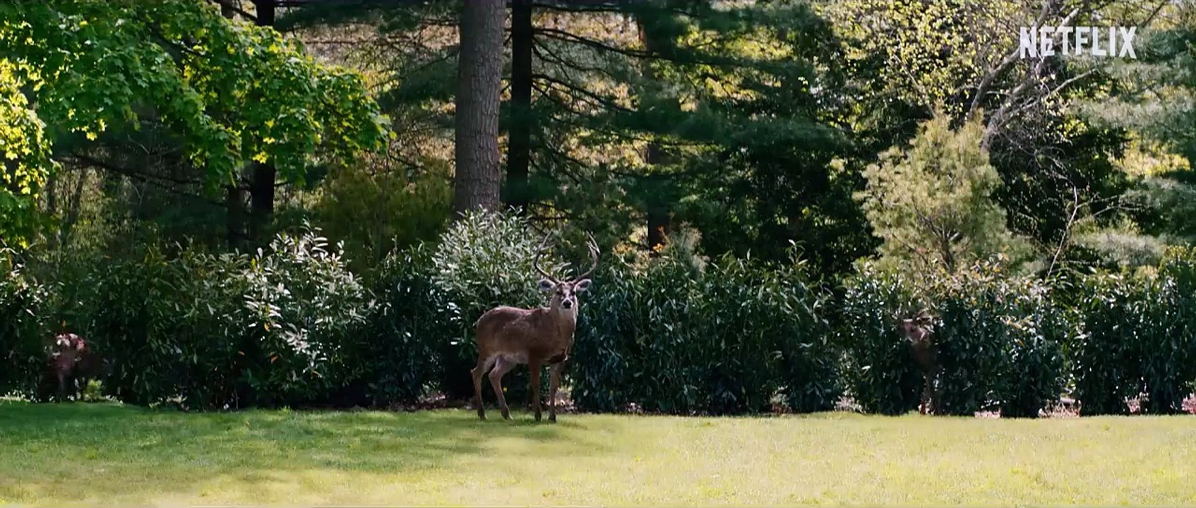 Le Monde après nous EXTRAIT VF "La télé"