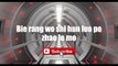 Ai Shang Ni Shi Yi Ge Cuo - Yang Pei An #lyrics #lyricsvideo #singalong