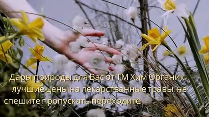 Дары природы для Вас от ТМ Хим Органик+