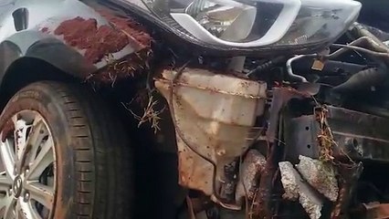 Veículo sai da pista e bate contra placa na rodovia BR-277