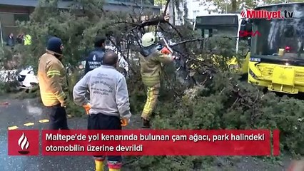 Maltepe'de korku dolu anlar! Altında kalmaktan son anda kurtuldu