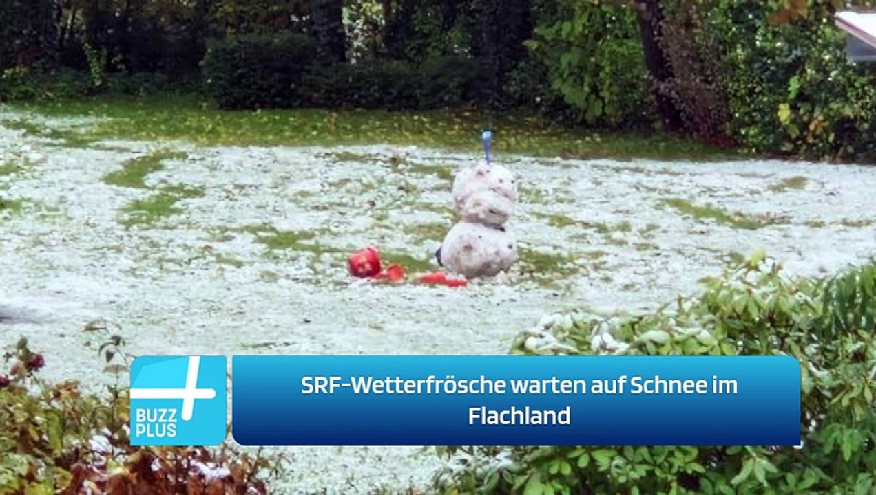 SRF-Wetterfrösche warten auf Schnee im Flachland
