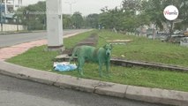 Grüner Hund in Malaysia gefunden: Als er näher kommt, wird alles plötzlich klar!
