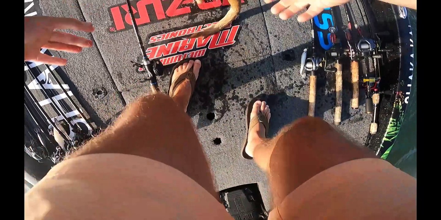 Dog Jumps In After Fish video Dailymotion