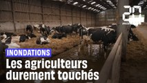 Inondations dans la Pas-de-Calais :  Les agriculteurs durement touchés