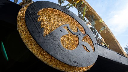 NCAA Sports Betting Penalties Cut Short Iowa Athlete's Career