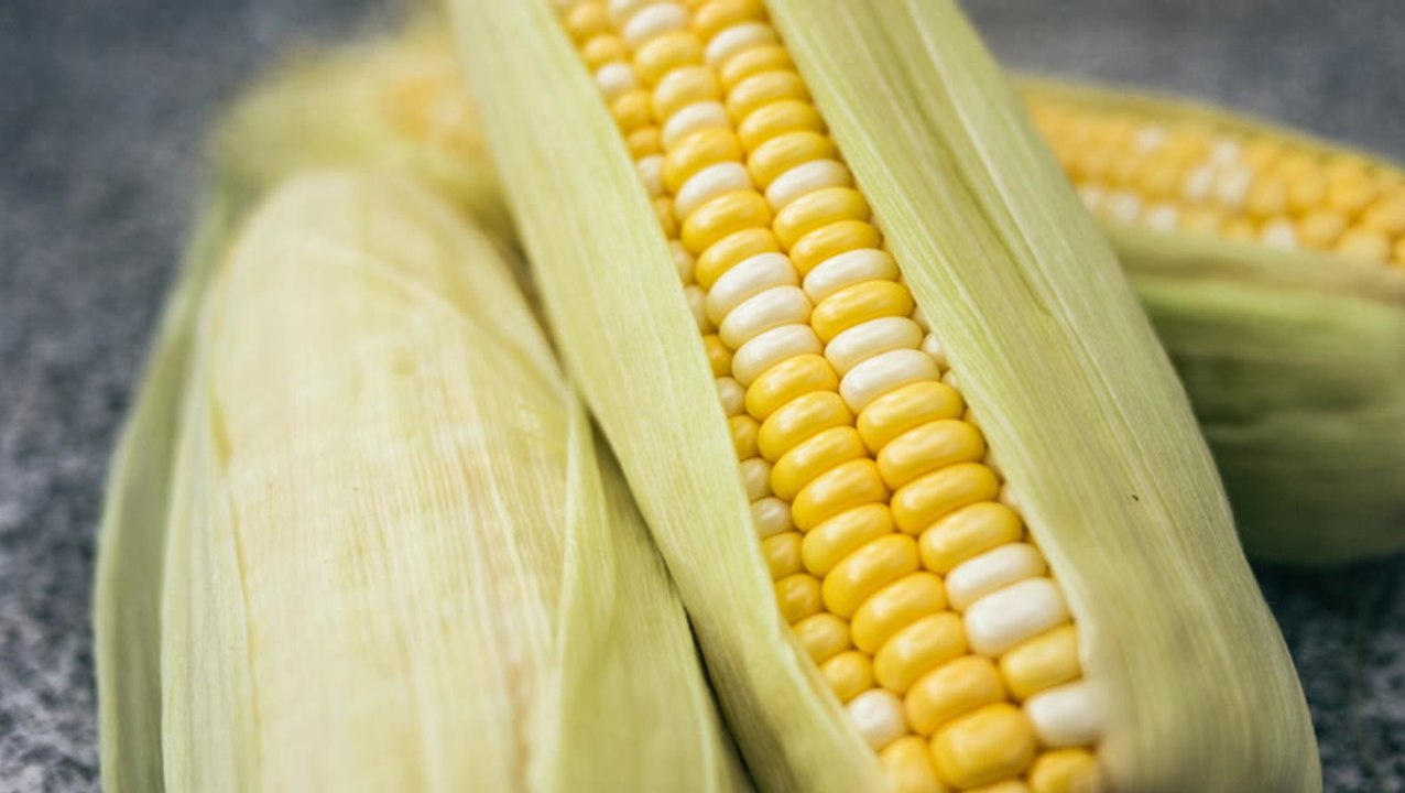 Can You Eat Raw Corn?