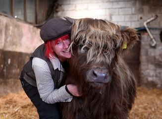 Highland Cow Experience Dumble Farm