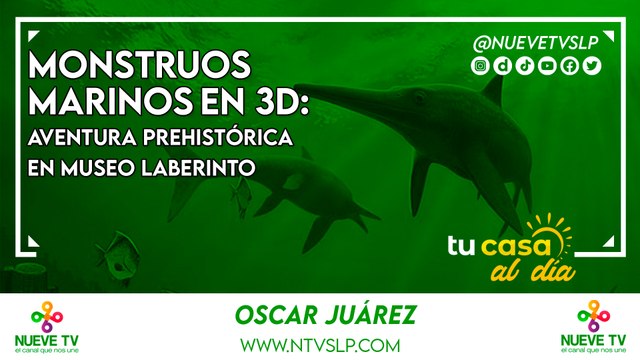 Monstruos Marinos en 3D: Aventura Prehistórica en Museo Laberinto
