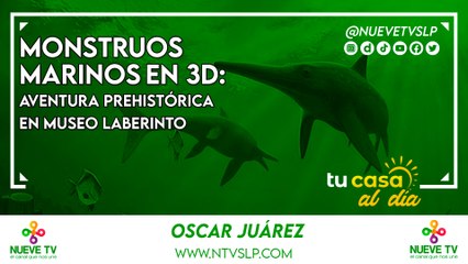 Monstruos Marinos en 3D: Aventura Prehistórica en Museo Laberinto