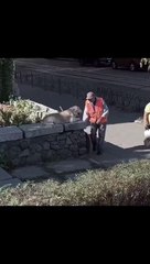 Sokak köpeği ile şahane bir arkadaşlık kuran temizlik işçisi 
