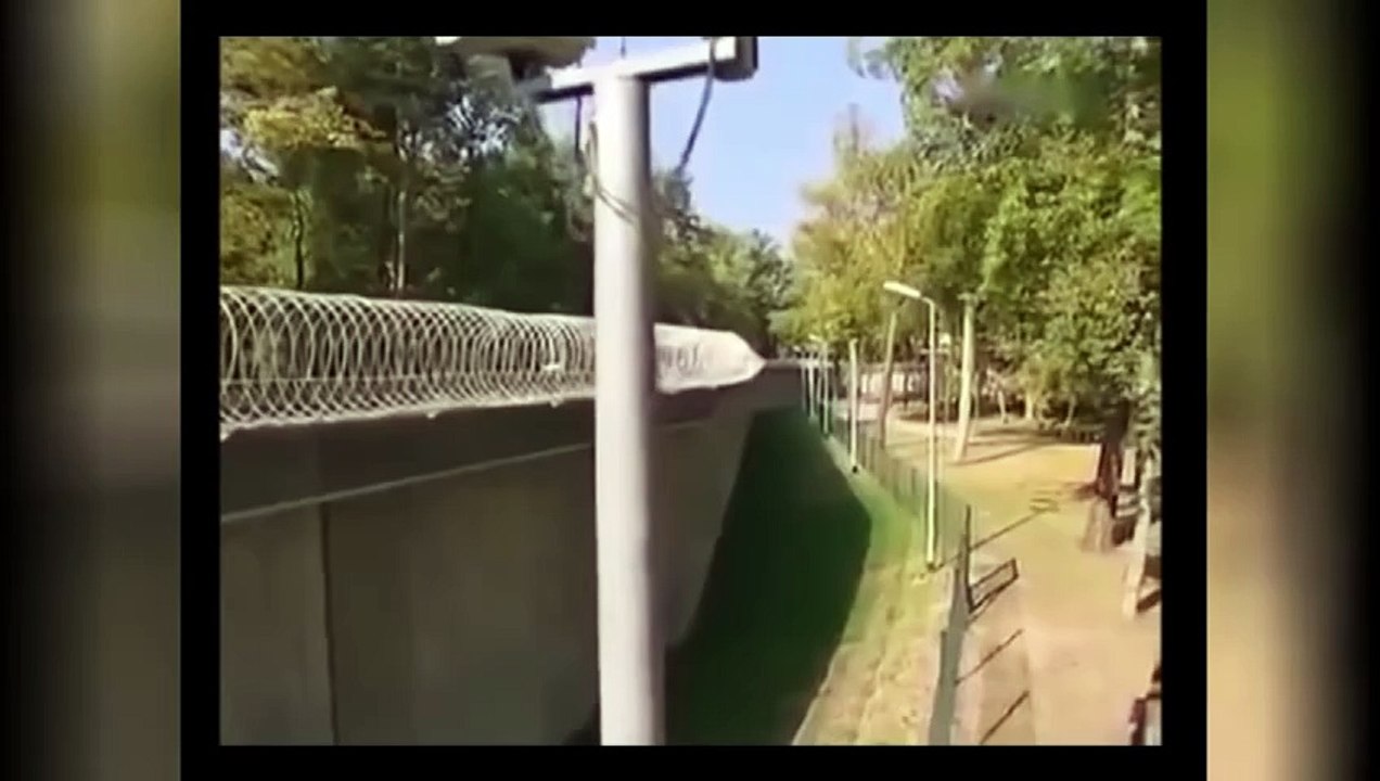 Die Großen Kriminalfälle - Der Mörder am Gartenzaun