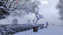 سرزمین پریان؛ یخ‌بندان زمستانی در شهر «جی‌لین» چین