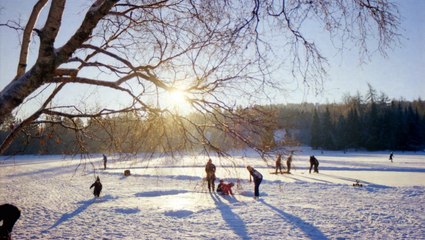 Winter Solstice Occurs Next Month—Here's What You Need to Know About the Annual Event