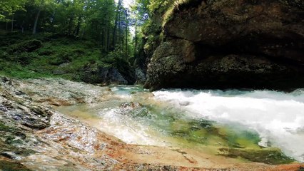 "Harmony Haven: Tranquil Ambient Music for Calmness"