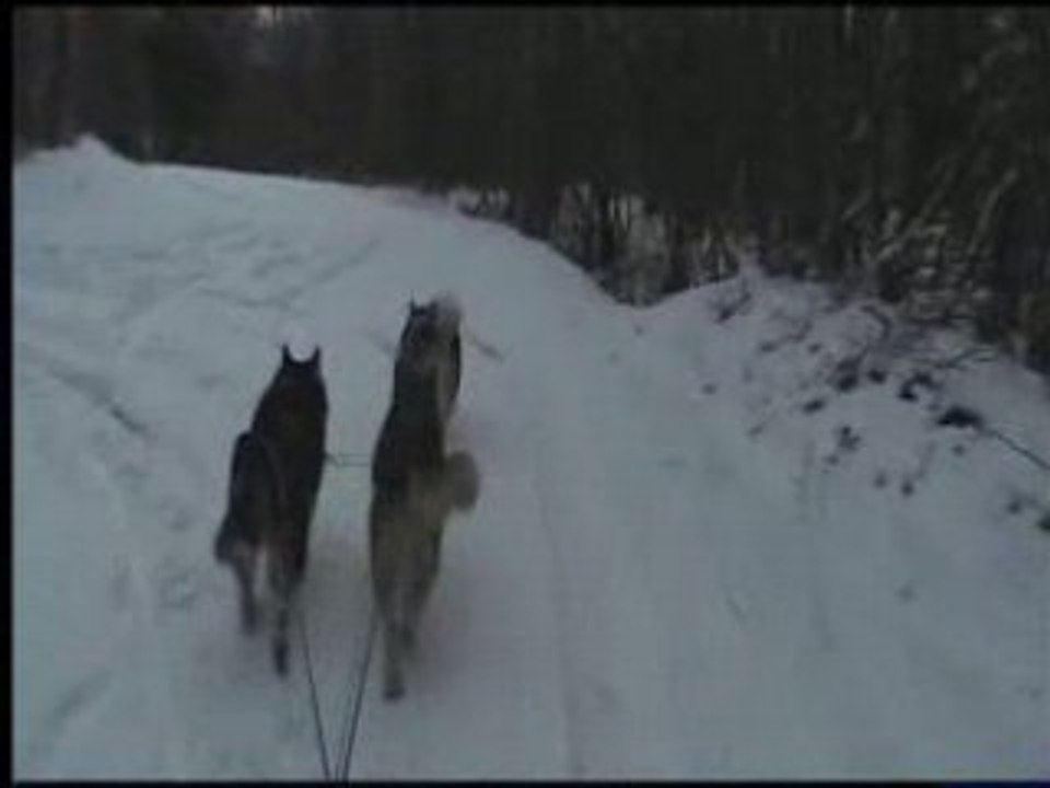 VTS_08_1